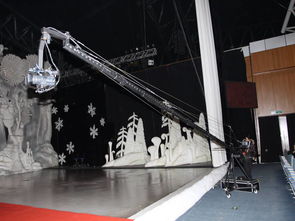 專業(yè)攝像與制作，為太湖新人定格永恒瞬間——太湖婚慶公司服務(wù)詳解